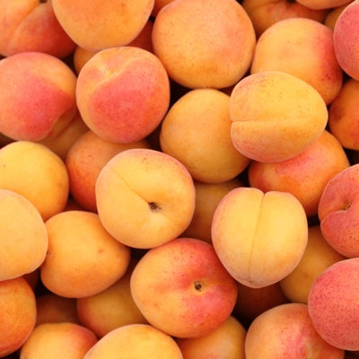 apricot.jpg