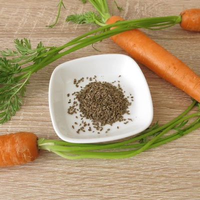 carrot-seeds.jpg