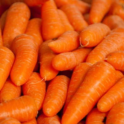 carrot.jpg
