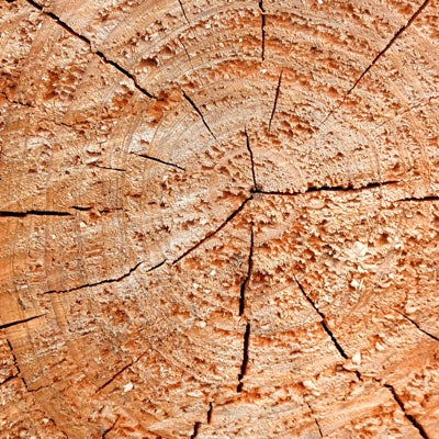 cedarwood.jpg
