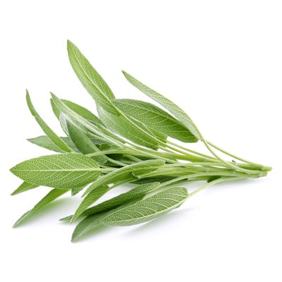 clary-sage.jpg