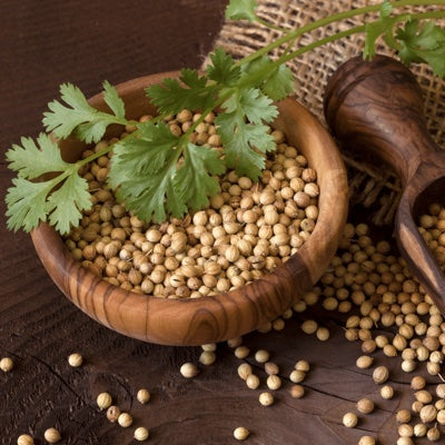 coriander.jpg