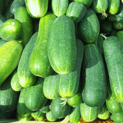 cucumber.jpg