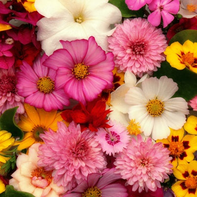 floral-notes.jpg