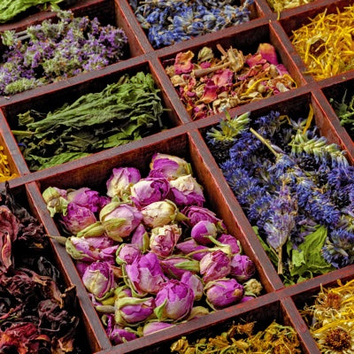herbal-notes.jpg