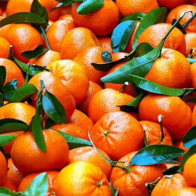 mandarin.jpg
