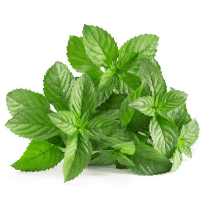 mint.jpg