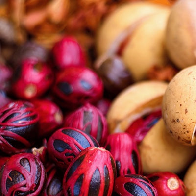 nutmeg.jpg
