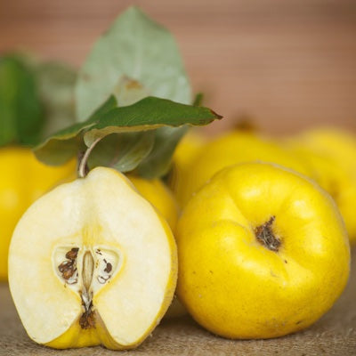 quince.jpg