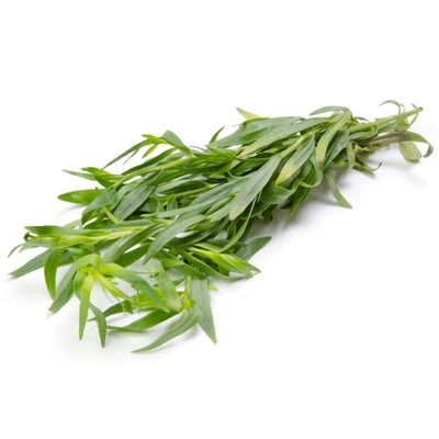 tarragon.jpg