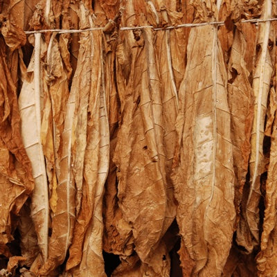 tobacco.jpg