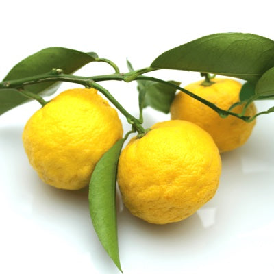 yuzu.jpg